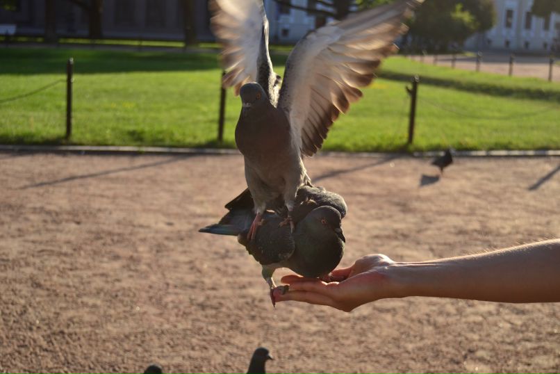 Маргаритка Чернова фотография #23