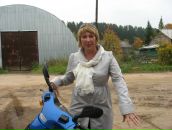 Фотография  