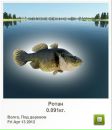 Сергій Ковбуз фотография #2 (источник - https://vk.com/id167973486)