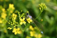 Дмитро Іванов фотография #48 (источник - https://vk.com/id7024687)