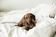 Инна Лукаш фотография #5 (источник - https://vk.com/id223367)