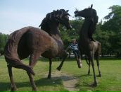 Фотография Мишарина Влада