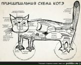 Фотография Сысоева Владислава