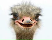 Фотография Яблоковой Ольги