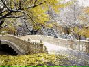 Фотография Юлия Клименко