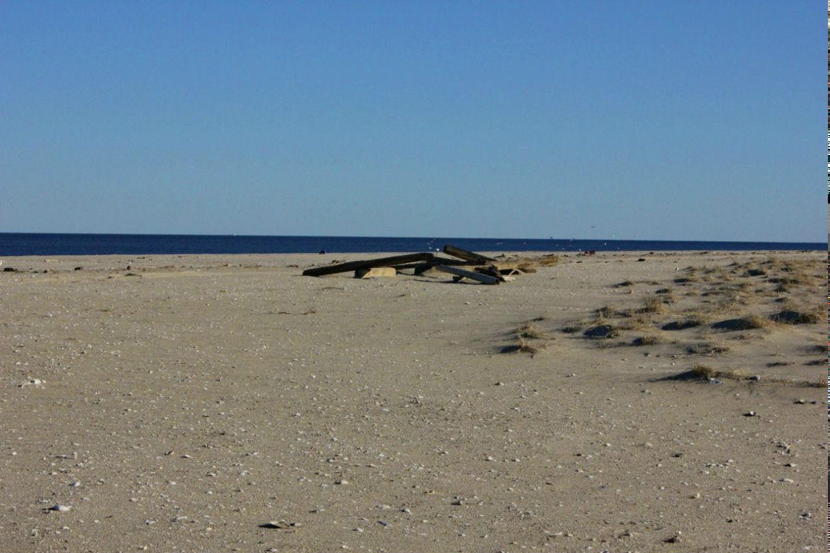 Глеб Петров фотография #43