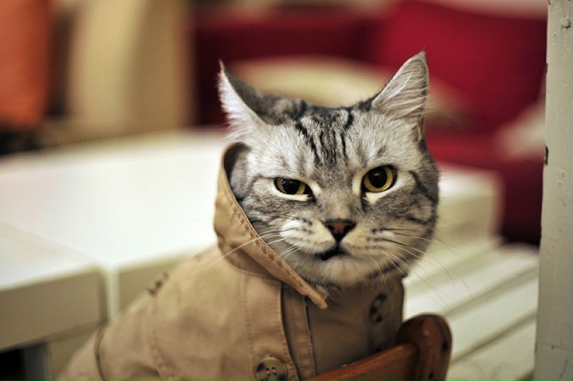 Sergey Sergey фотография #21