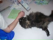 Фотография Андреевой Елены