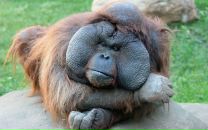 Фотография Павлова Алексея