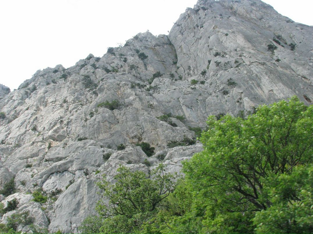 Мари Иванок фотография #48