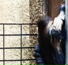 Фотография Карпенко Анастасии